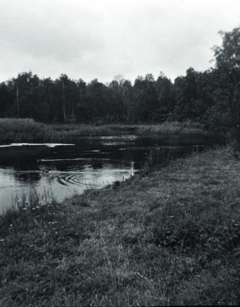 1948-0001-0000-0010-PS1