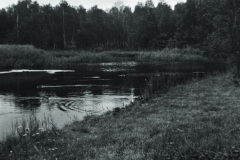 1948-0001-0000-0010-PS1