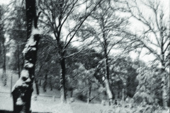 1948-0002-0000-0006-PS1