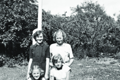 1950-0003-0000-0009-PS1