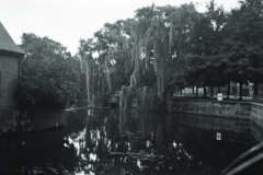1953-0001-0000-0010-LS1