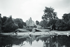 1953-0001-0000-0011-LS1
