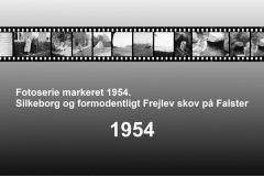 1954-0004-0000-0001-LS1