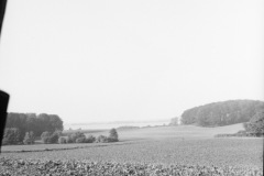 1954-0004-0000-0009-PS1