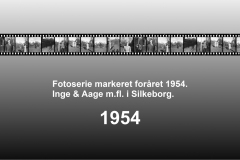 1954-0002-0000-0001-LS1