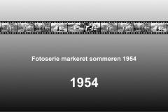 1954-0003-0000-0001-LS1