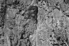 1956-0003-0000-0007-PS1