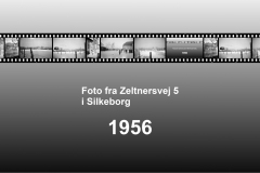 1956-0004-0000-0001-LS1