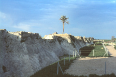 1957-0003-0000-0051-LF1