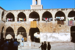 1957-0003-0000-0081-LF1