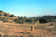 1957-0003-0000-0087-LF1