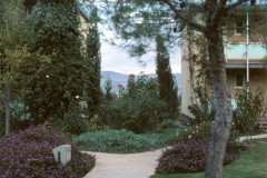 1957-0003-0000-0096-LF1