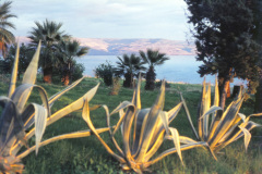 1957-0003-0000-0099-LF1