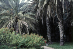 1957-0003-0000-0109-LF1