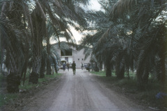 1957-0003-0000-0111-LF1