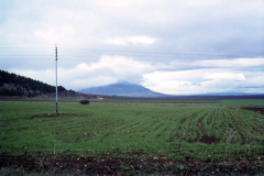 1957-0003-0000-0117-LF1