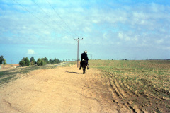 1957-0003-0000-0122-LF1
