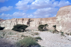 1957-0003-0000-0132-LF1