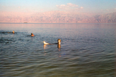 1957-0003-0000-0135-LF1