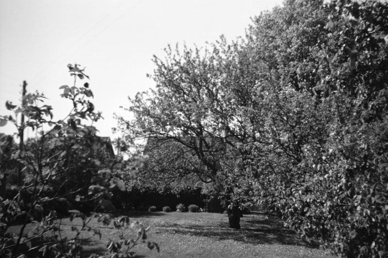 1957-0001-0000-0015-LS1