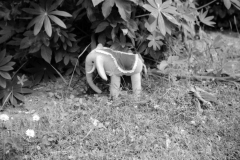 1958-0009-0000-0017-LS1