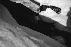 1959-0002-0000-0033-LS1