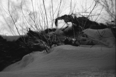 1959-0002-0000-0035-LS1