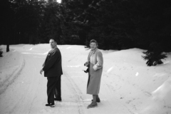 1959-0002-0000-0037-LS1