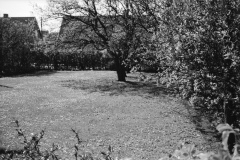 1959-0005-0000-0005-LS1
