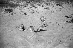 1959-0007-0000-0012-LS1