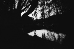 1960-0016-0000-0013-LS1