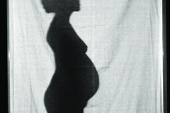 1960-0013-0618-0003-PS1