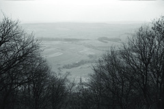 1960-0010-0701-0002-LS1