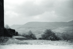 1960-0010-0701-0003-LS1