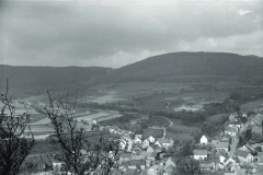 1960-0010-0701-0006-LS1