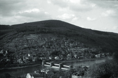 1960-0010-0701-0007-LS1
