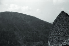 1960-0010-0701-0013-LS1