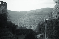 1960-0010-0701-0020-LS1