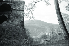 1960-0010-0701-0021-LS1