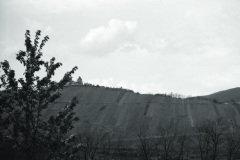 1960-0010-0701-0030-LS1