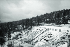 1960-0010-0701-0043-LS1