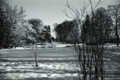 1960-0007-1201-0017-LS1