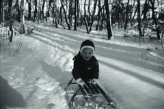 1960-0007-1201-0029-LS1
