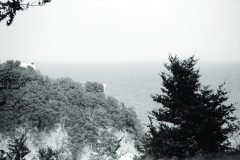1960-0003-0701-0005-LS1