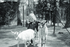 1960-0015-0701-0002-LS1