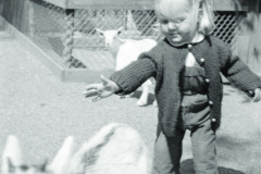 1960-0015-0701-0003-PS1