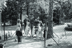 1960-0015-0701-0004-LS1