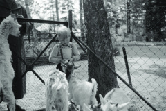 1960-0015-0701-0006-LS1