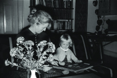 1960-0006-0701-0020-LS1