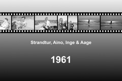 1961-0003-0000-0001-LS1